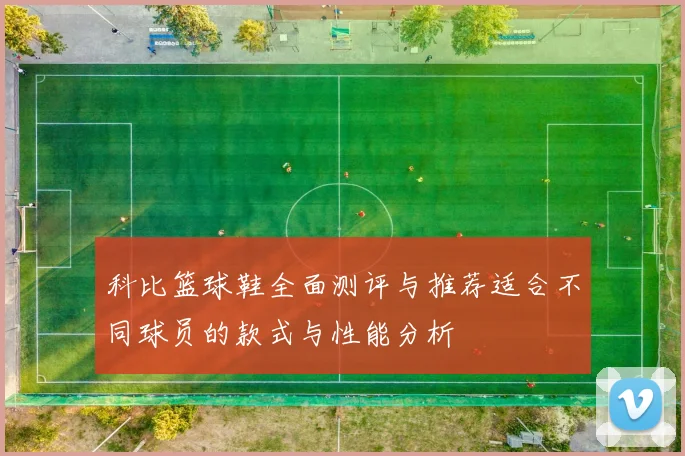 科比篮球鞋全面测评与推荐适合不同球员的款式与性能分析
