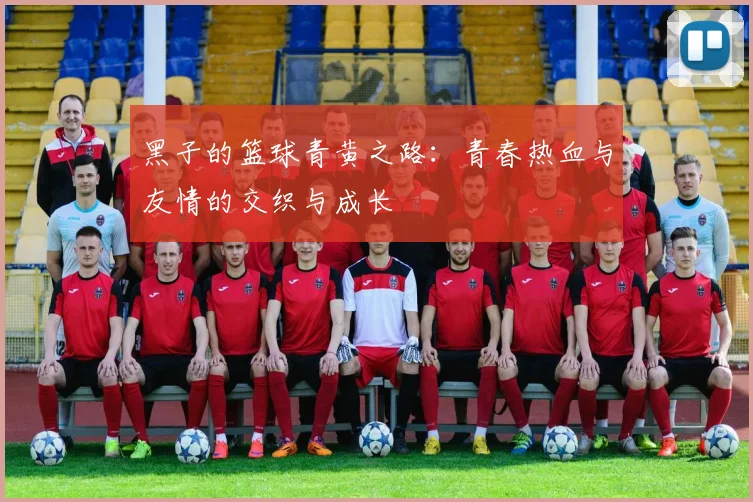 黑子的篮球青黄之路：青春热血与友情的交织与成长